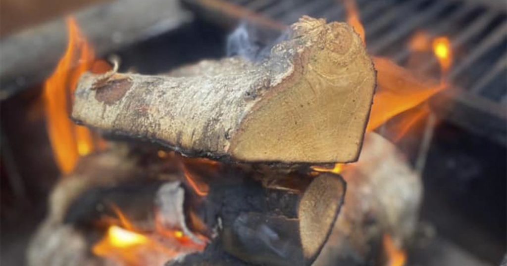 Ovnetørret birketræ i FireFriend